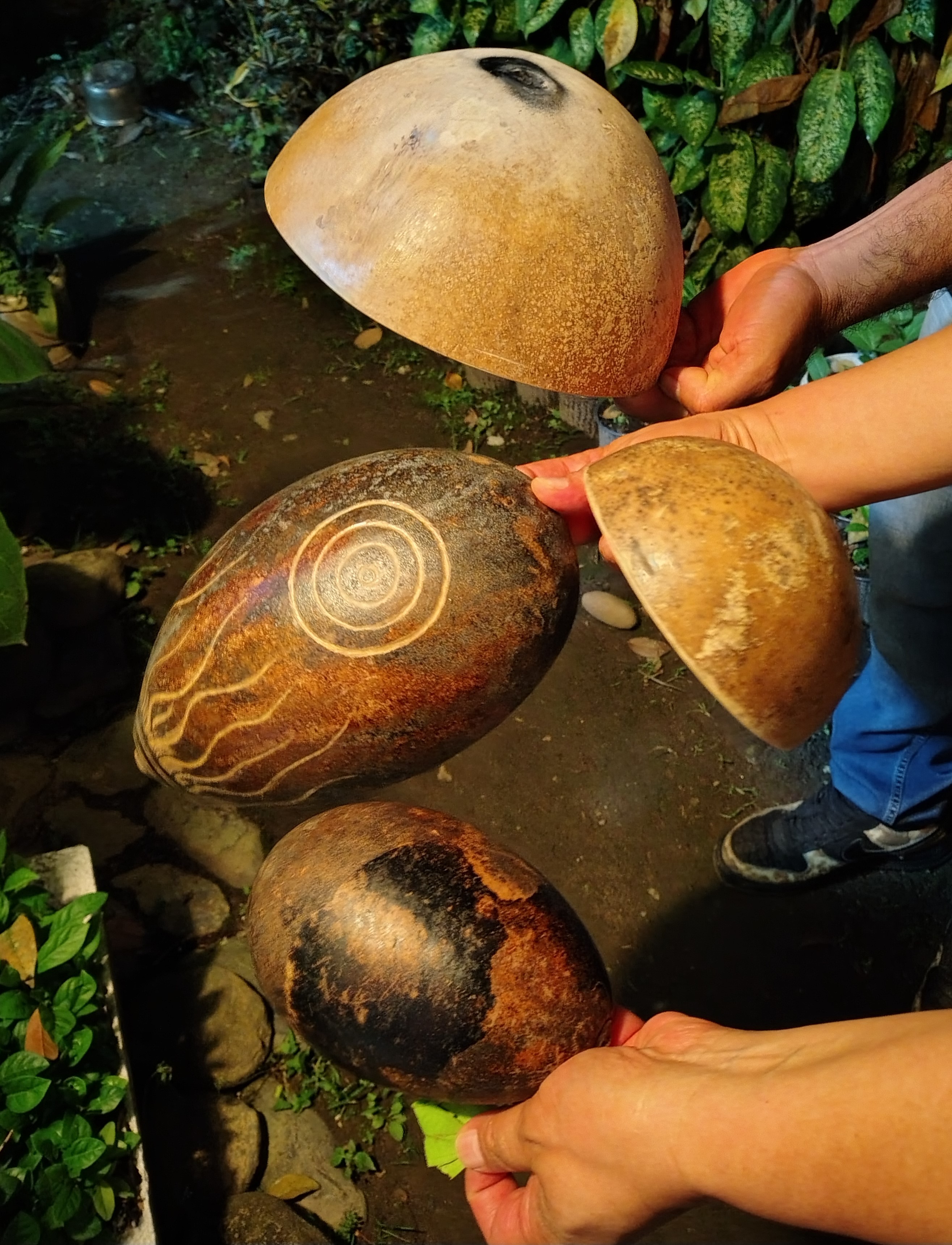 Guías de Savberes